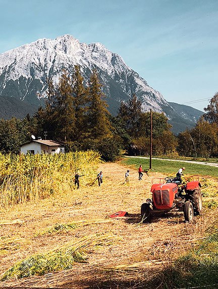 Hanfanbau Tirol